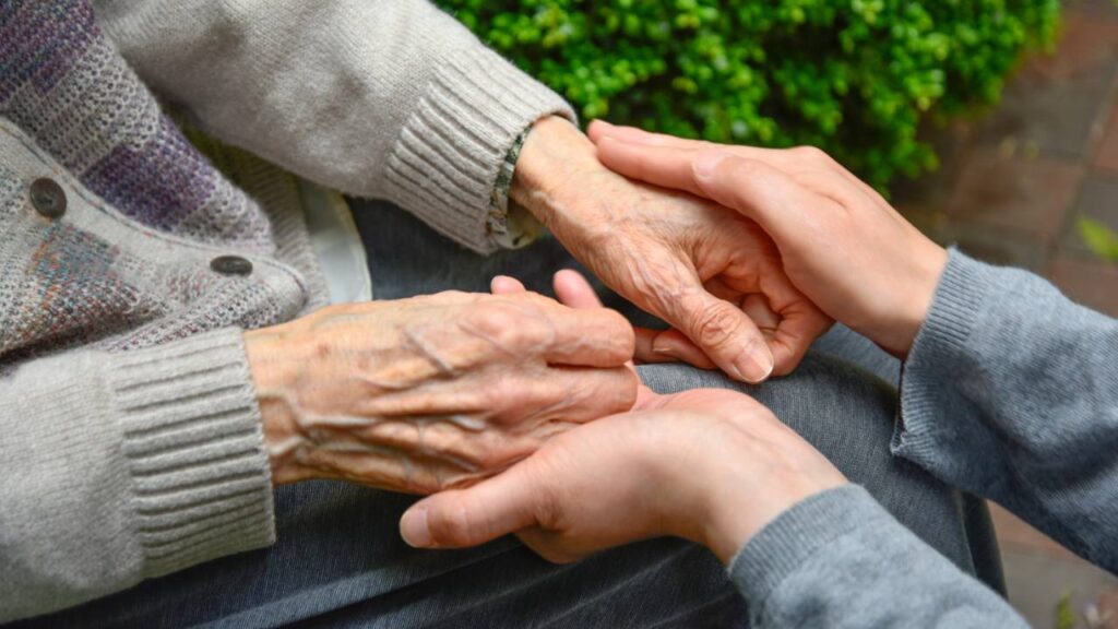 BPC idoso BPC pessoa com deficiência