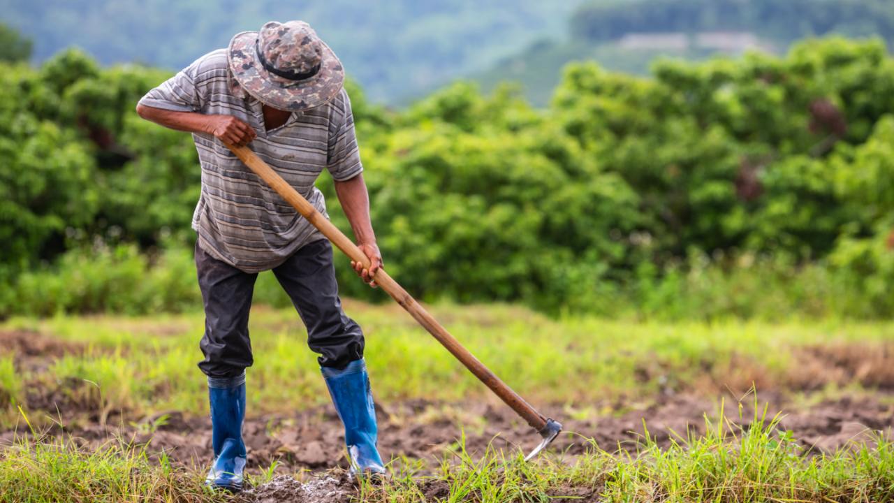 segurado especial requisitos e como comprovar atividade rural